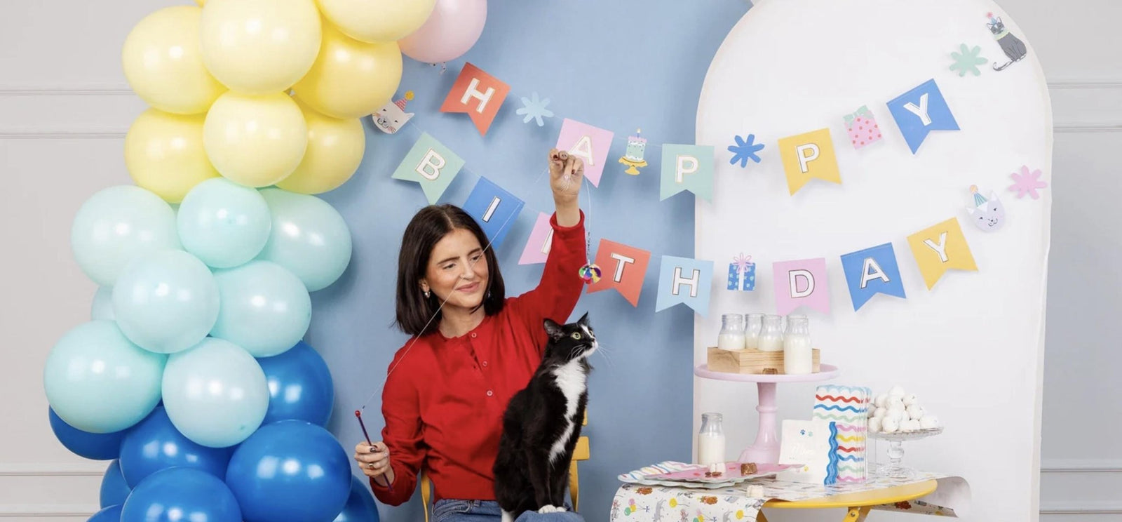 Kitty Happy Birthday Banner - Stesha Party