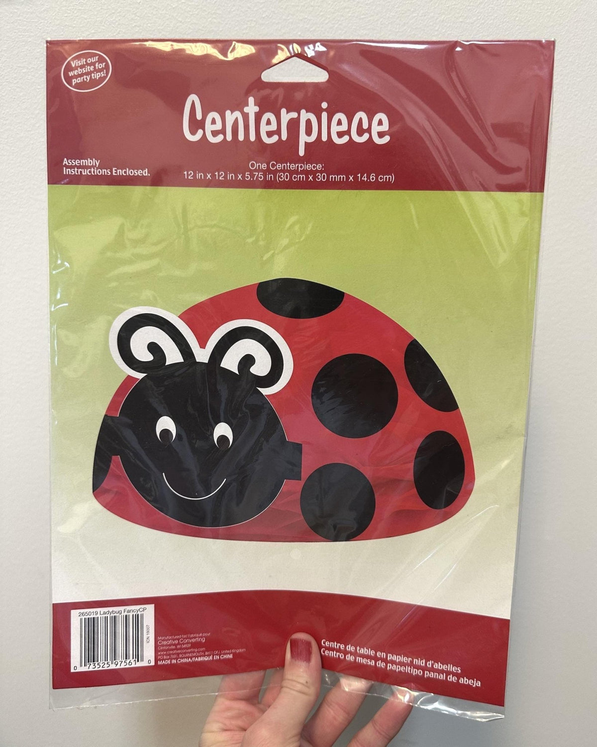 Ladybug Birthday Party Centerpiece - Stesha Party