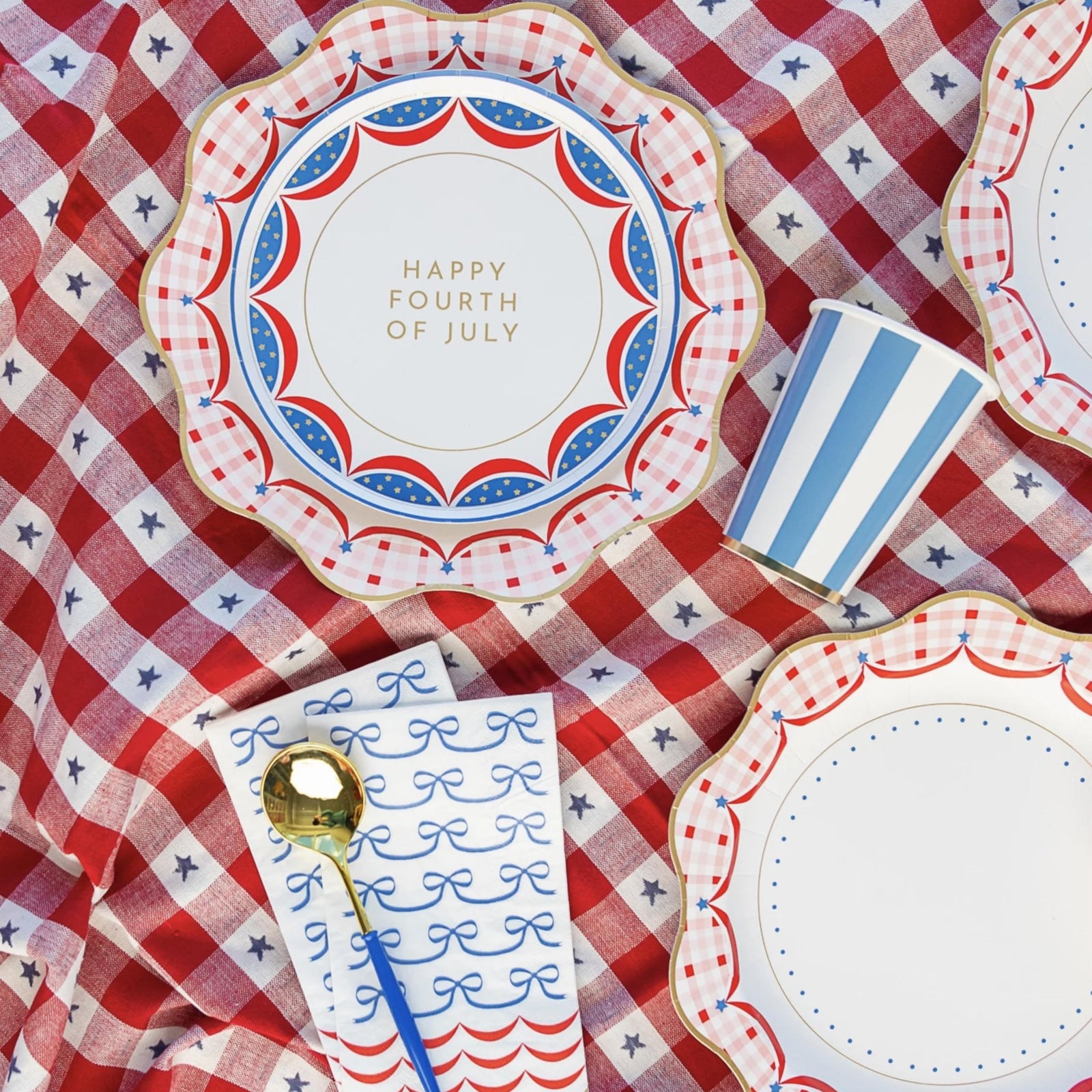 Large Red White & Blue Gingham Plates 8ct - Stesha Party