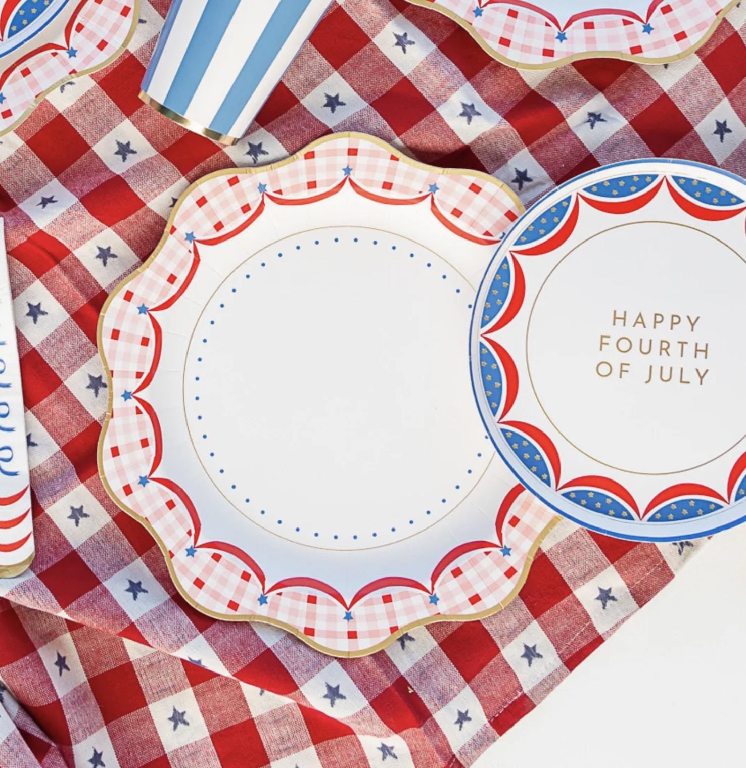 Large Red White & Blue Gingham Plates 8ct - Stesha Party