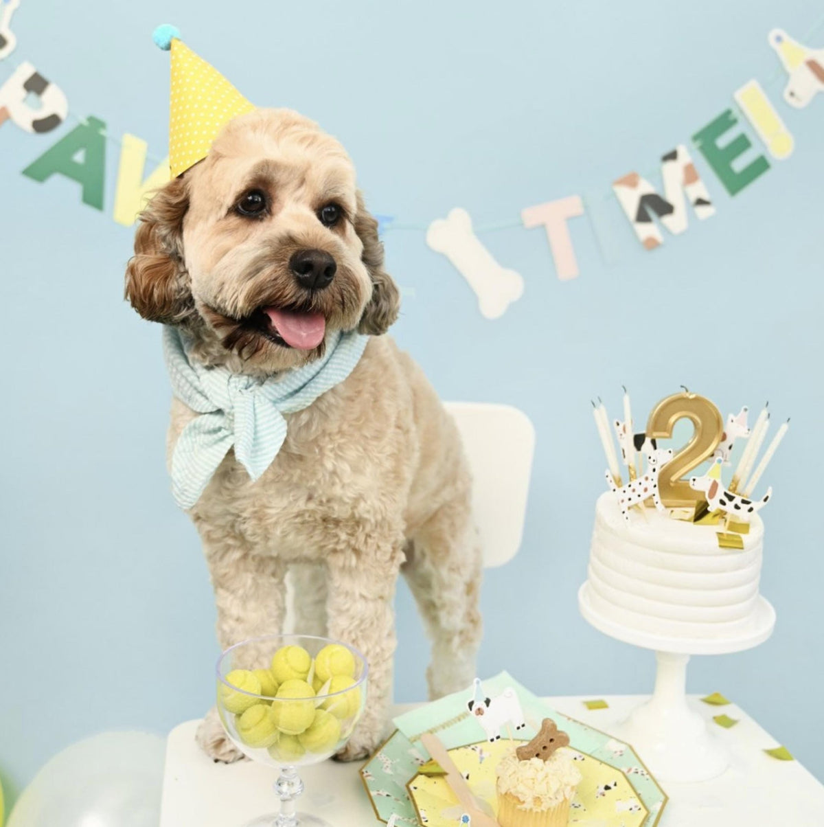 Pawty Time Banner - Stesha Party