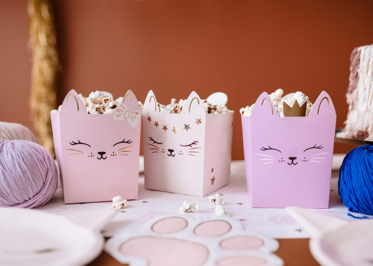 Pink Kitty Cat Treat Boxes 3ct - Stesha Party