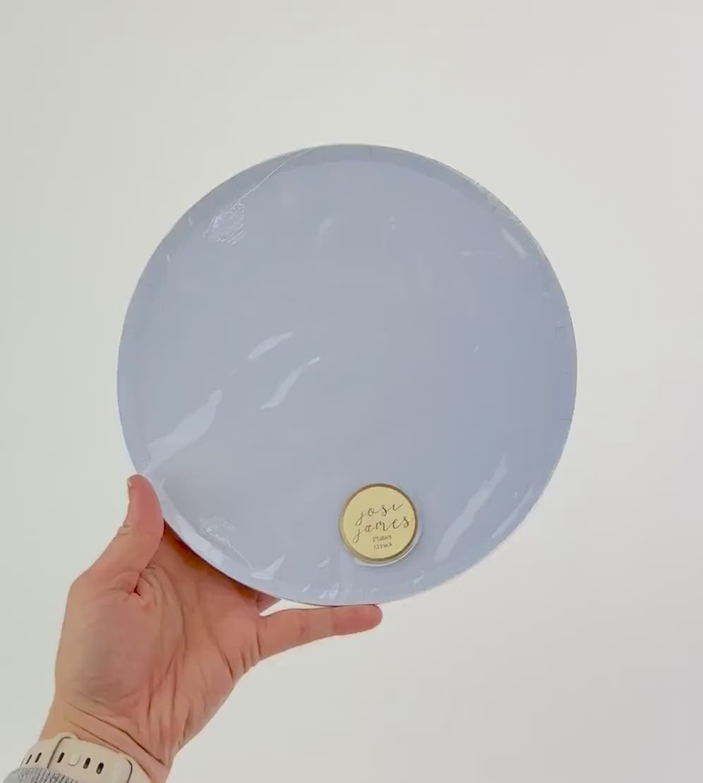 Light Blue Paper Plates 12ct - Something Blue Bridal Shower, Wedding Plates, Boy Baby Shower Supplies, Pastel Birthday, Paper Dinner Plates