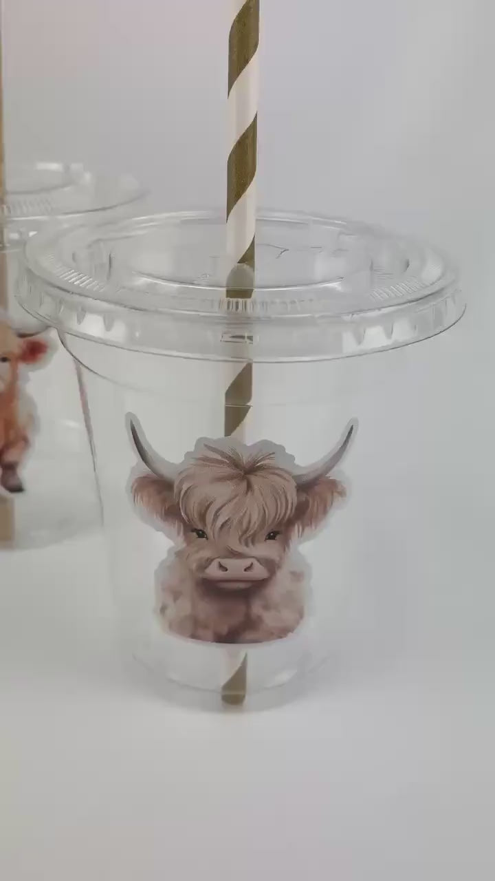 Highland Cow Party Cups