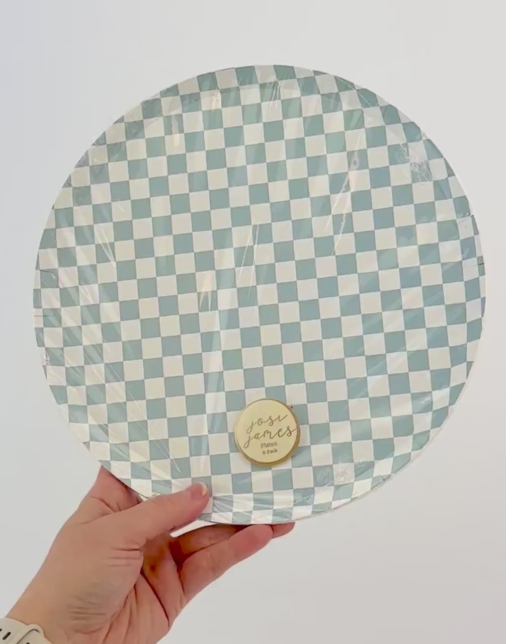 Blue Checkered Paper Plates 8ct - Disposable Dinner Plates, Light Blue Birthday Plates, Boy Baby Shower, Blue Bridal Shower, Party Tableware