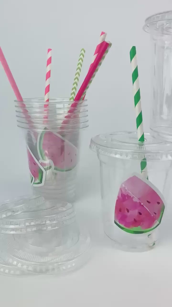 Watermelon Party Cups 12ct - Fruit Birthday Cups, Watermelon Party Supplies, Summer Birthday Treat Cups, One in a Melon 1st Birthday Party