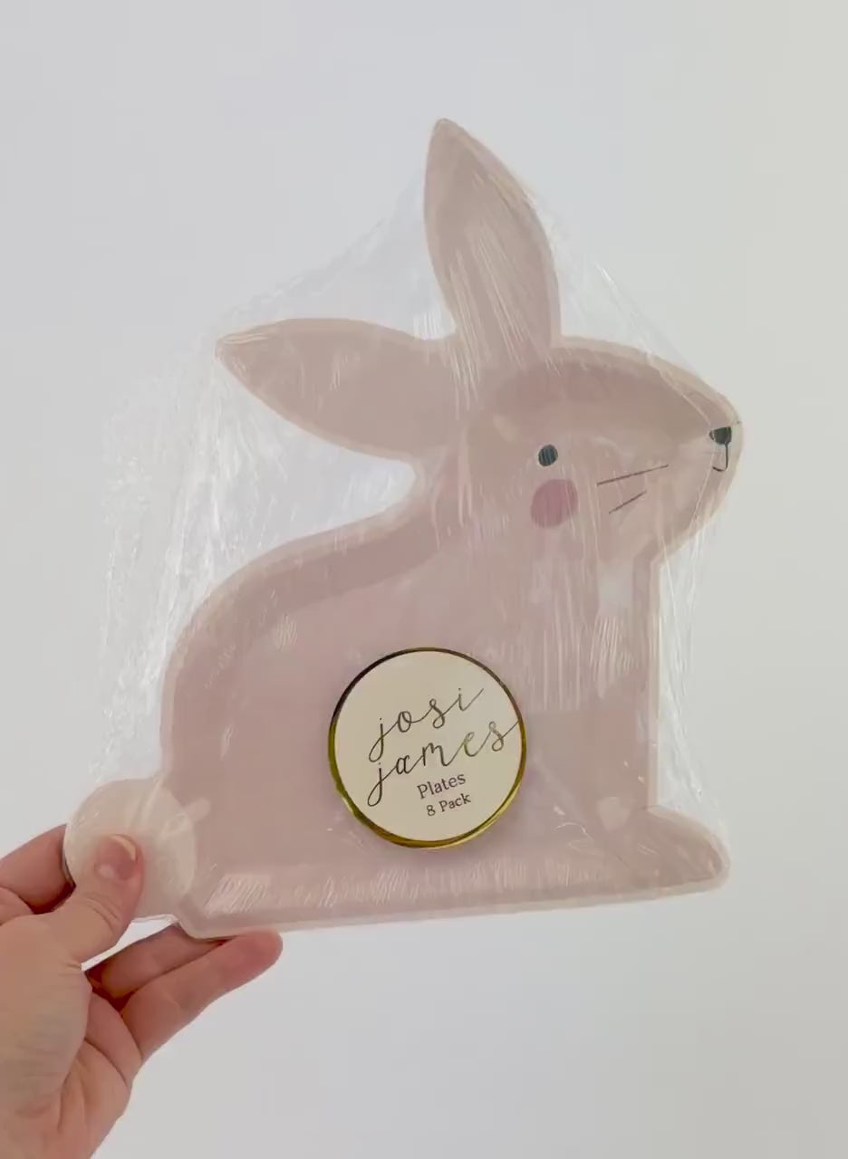 Pink Bunny Paper Plates 8ct - Bunny Birthday Plates, Rabbit Party Supplies, Bunny First Birthday, Some Bunny is One, Spring Easter Party
