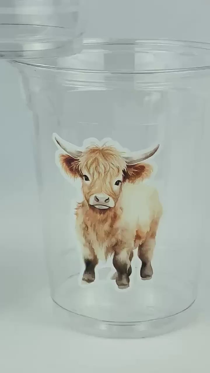 Highland Cow Party Cups 24ct - Highland Cow Baby Shower Decor Cow Birthday Party Supplies Favors Farm Shower Decorations, 12oz Plastic Cups