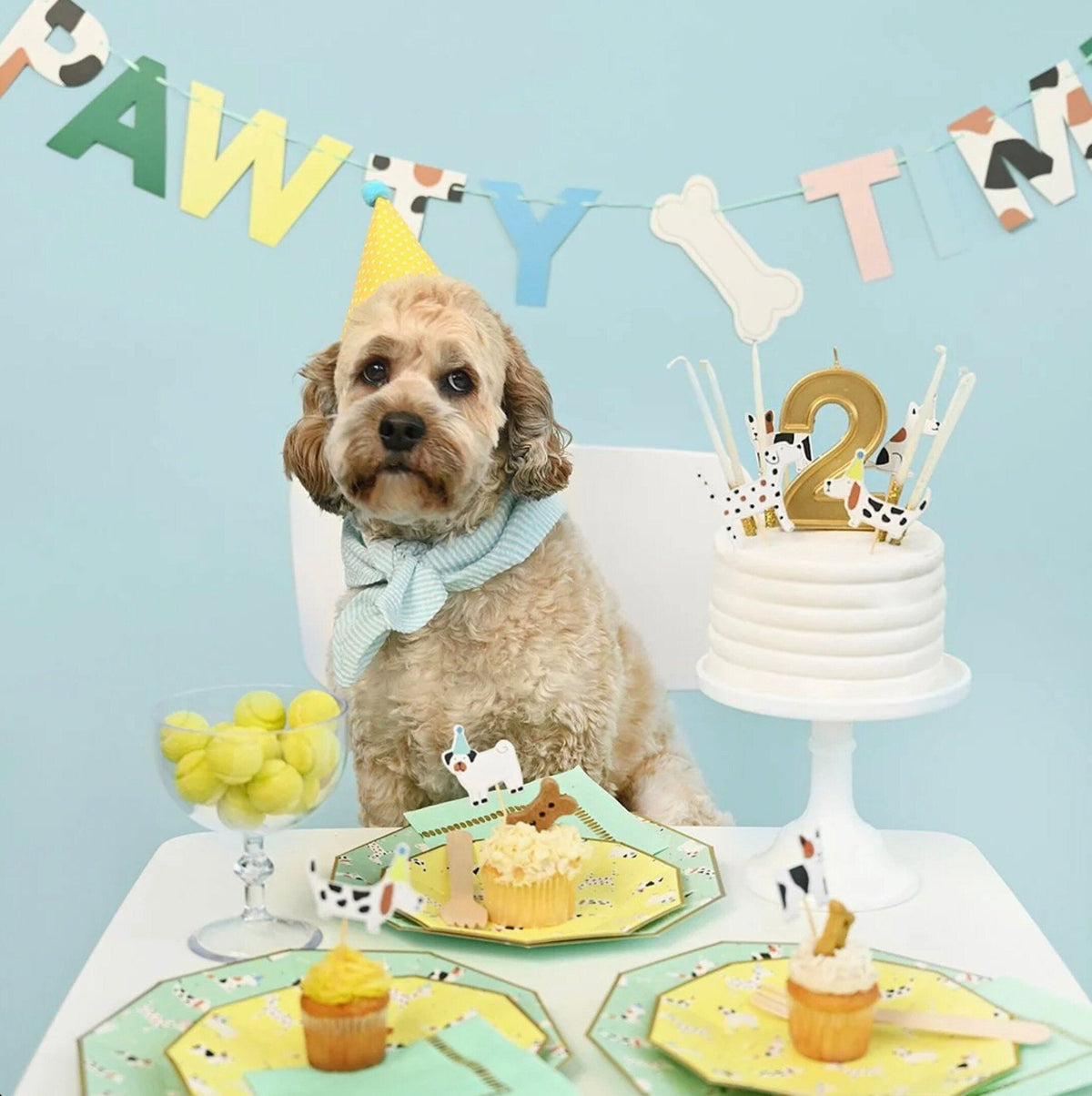 Puppy Party Cake Plates - Stesha Party