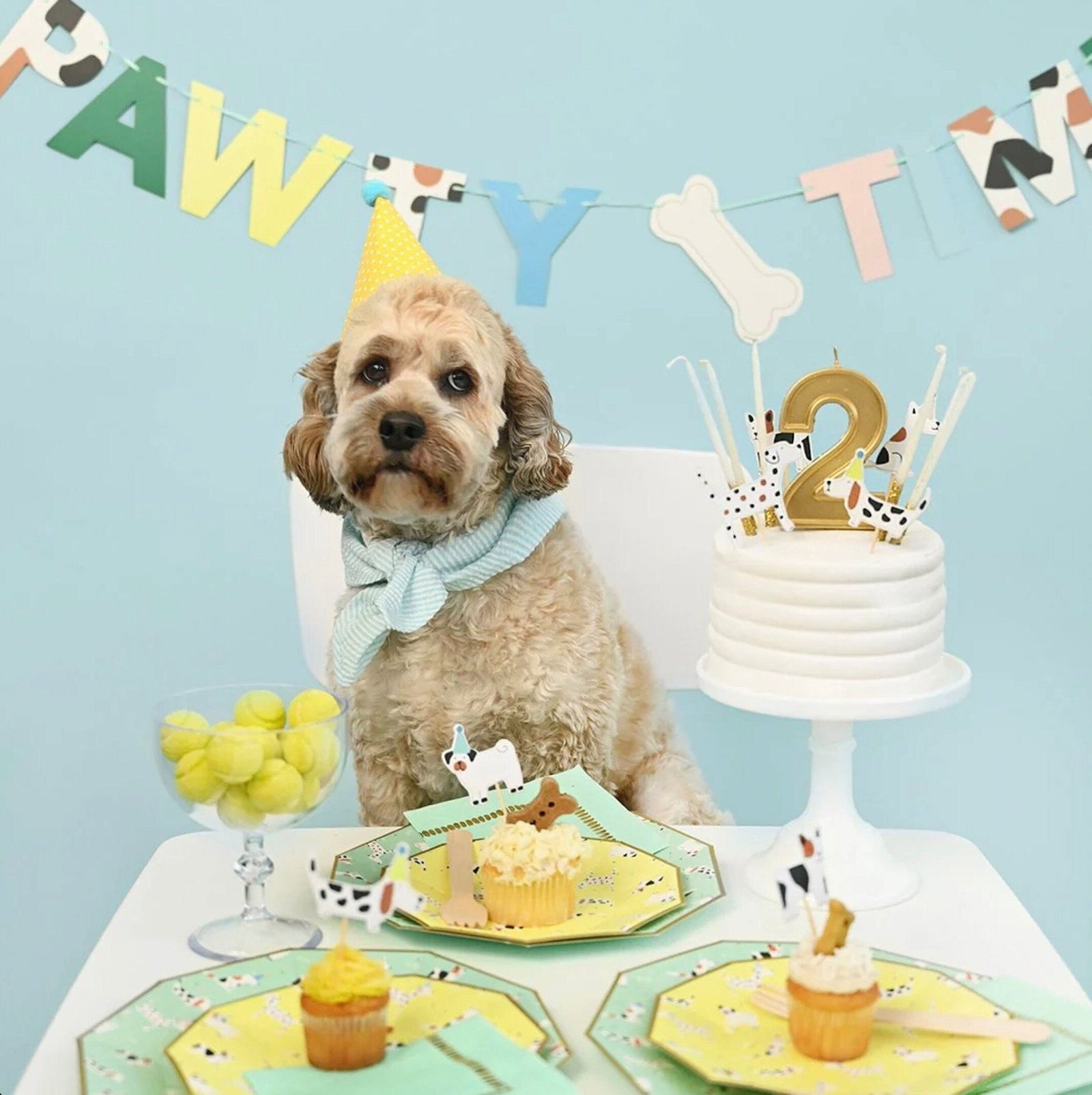 Puppy Party Cake Plates - Stesha Party