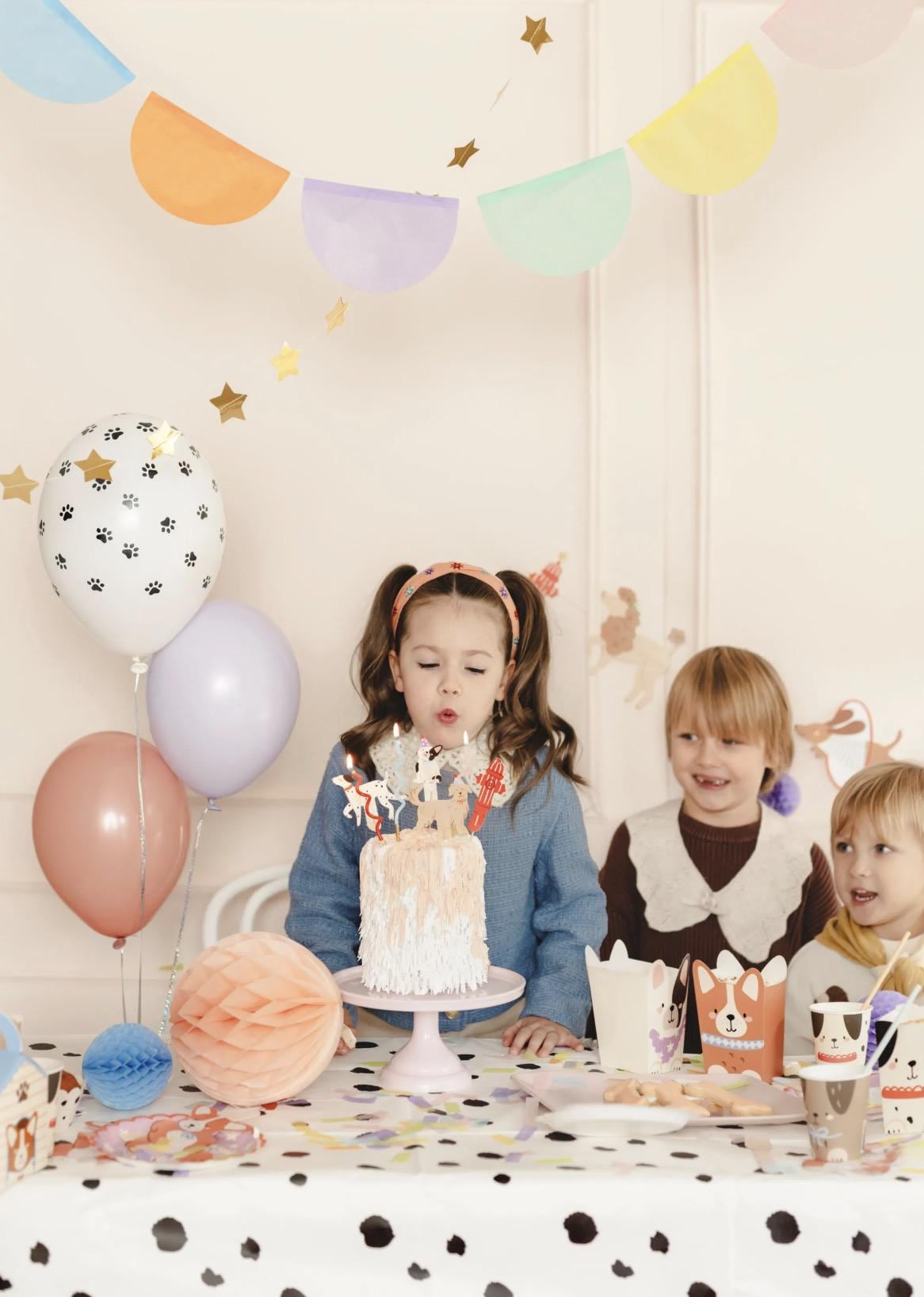 Puppy Treat Party Boxes 6ct - Stesha Party