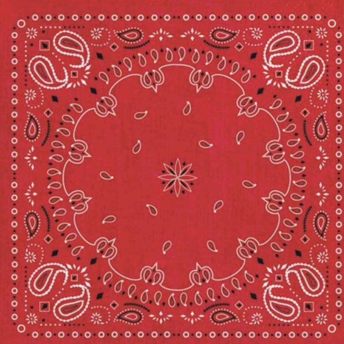 Red Bandana Napkins 16ct - Stesha Party
