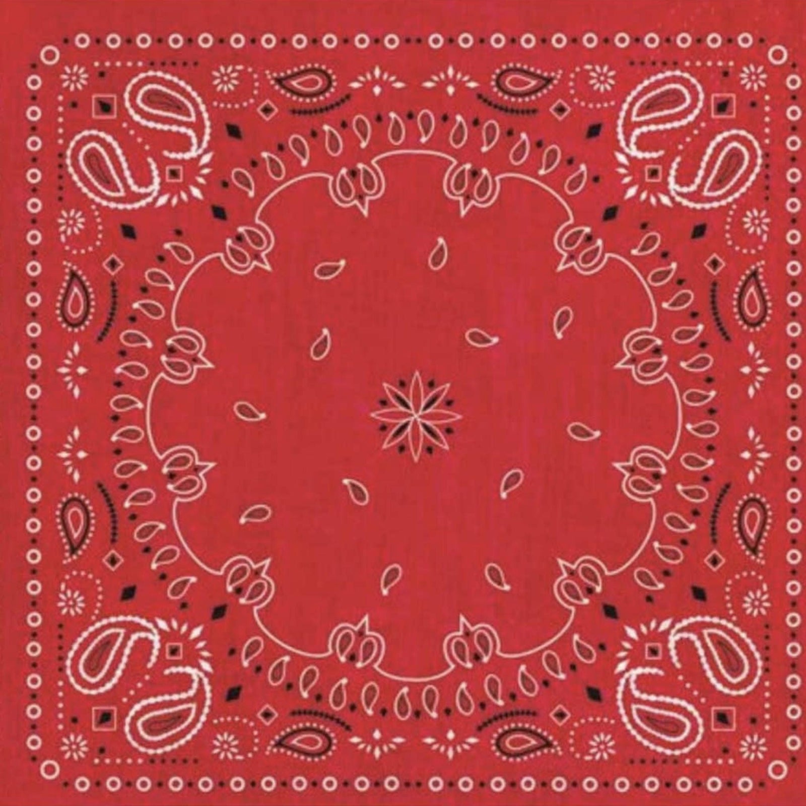 Red Bandana Napkins 16ct - Stesha Party
