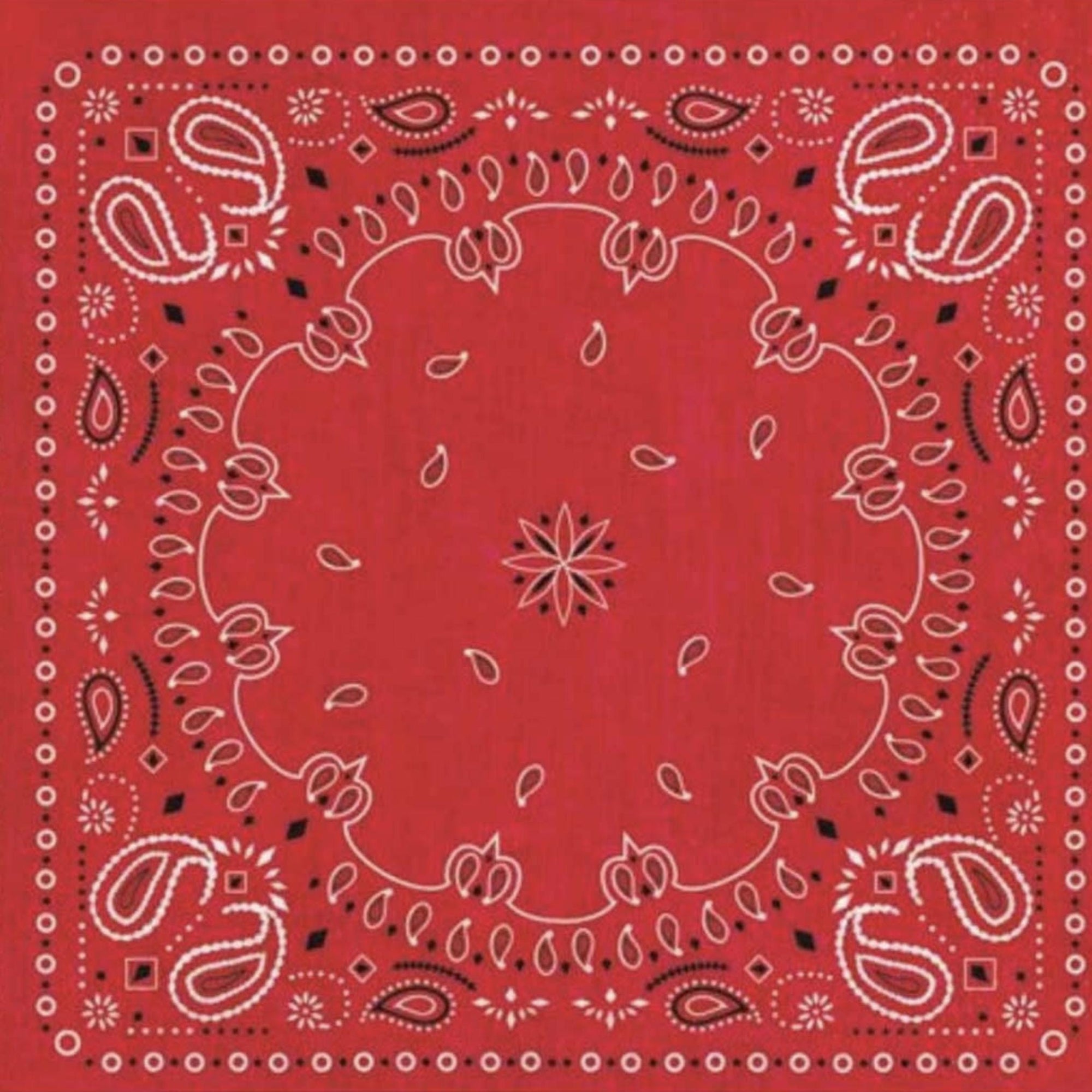 Red Bandana Napkins 16ct - Stesha Party