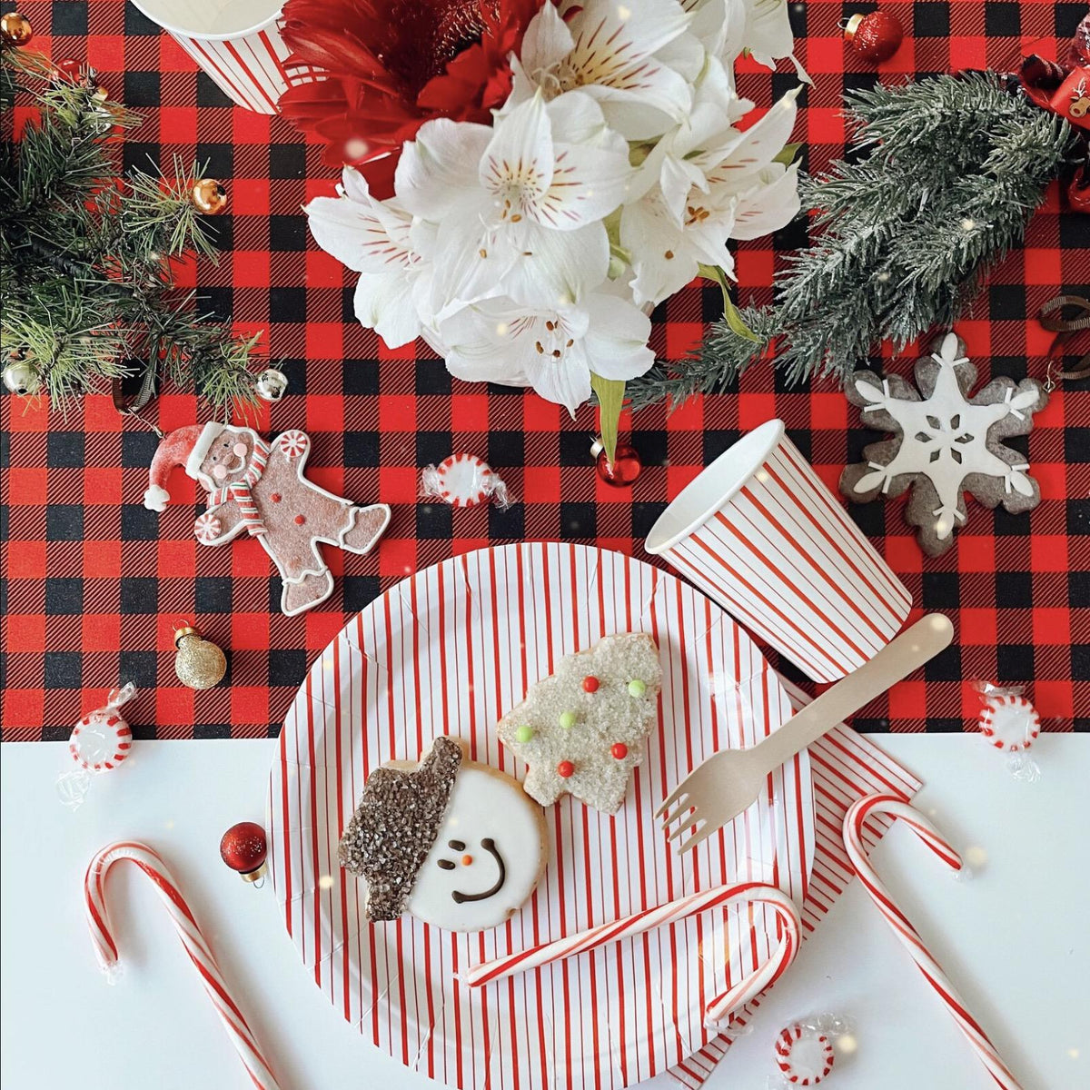 Red & White Striped Plates - Stesha Party