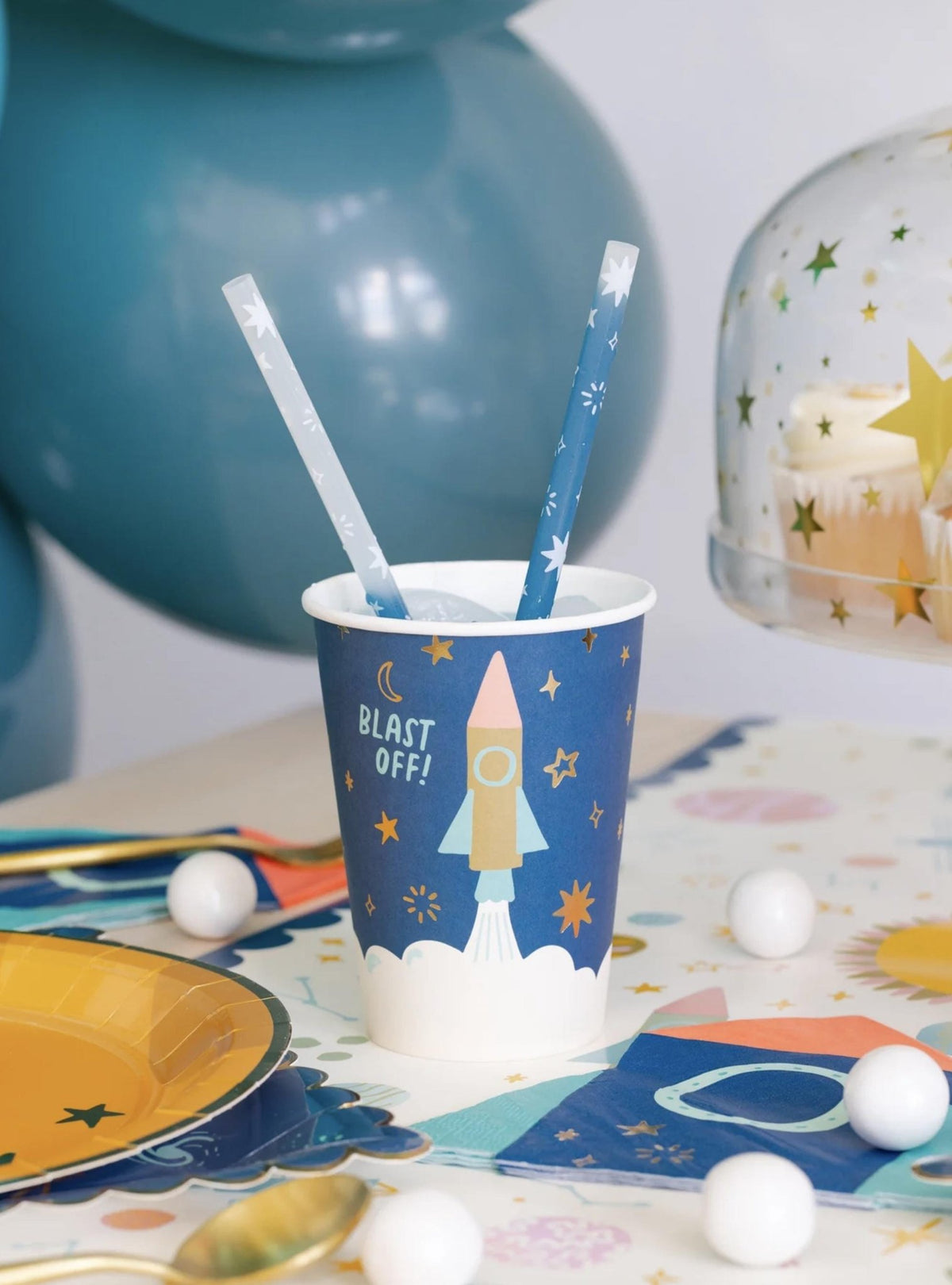 Reusable Space Straws - Stesha Party