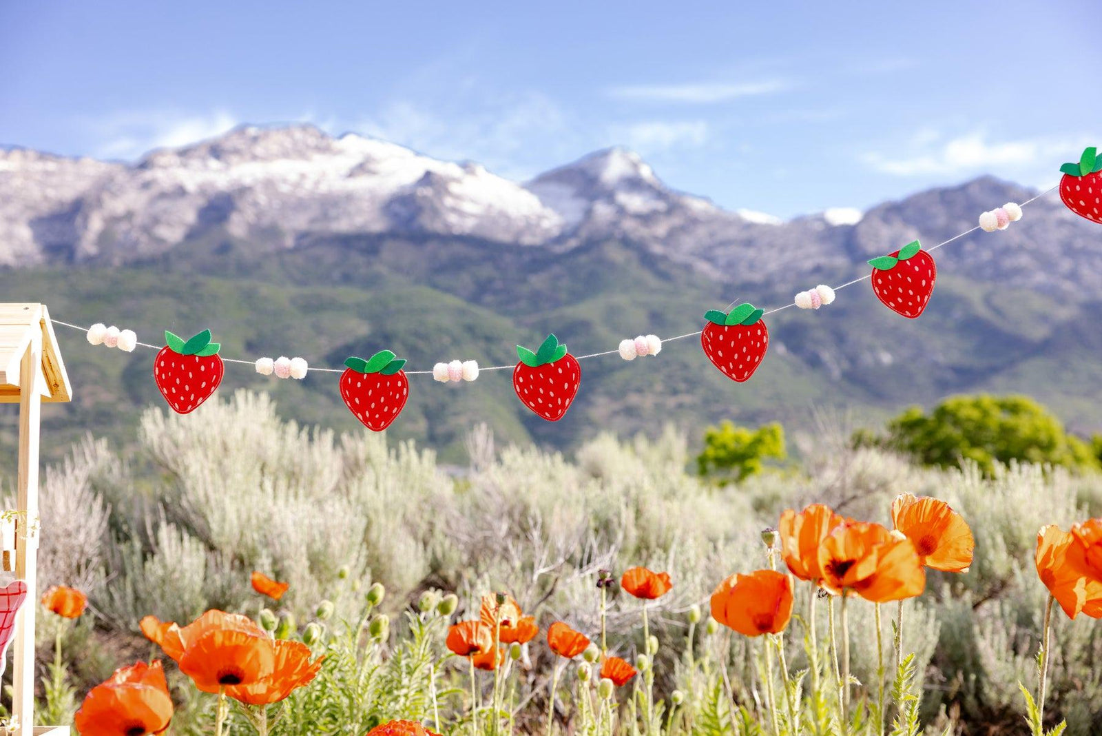 Strawberry Banner 6ft - Stesha Party