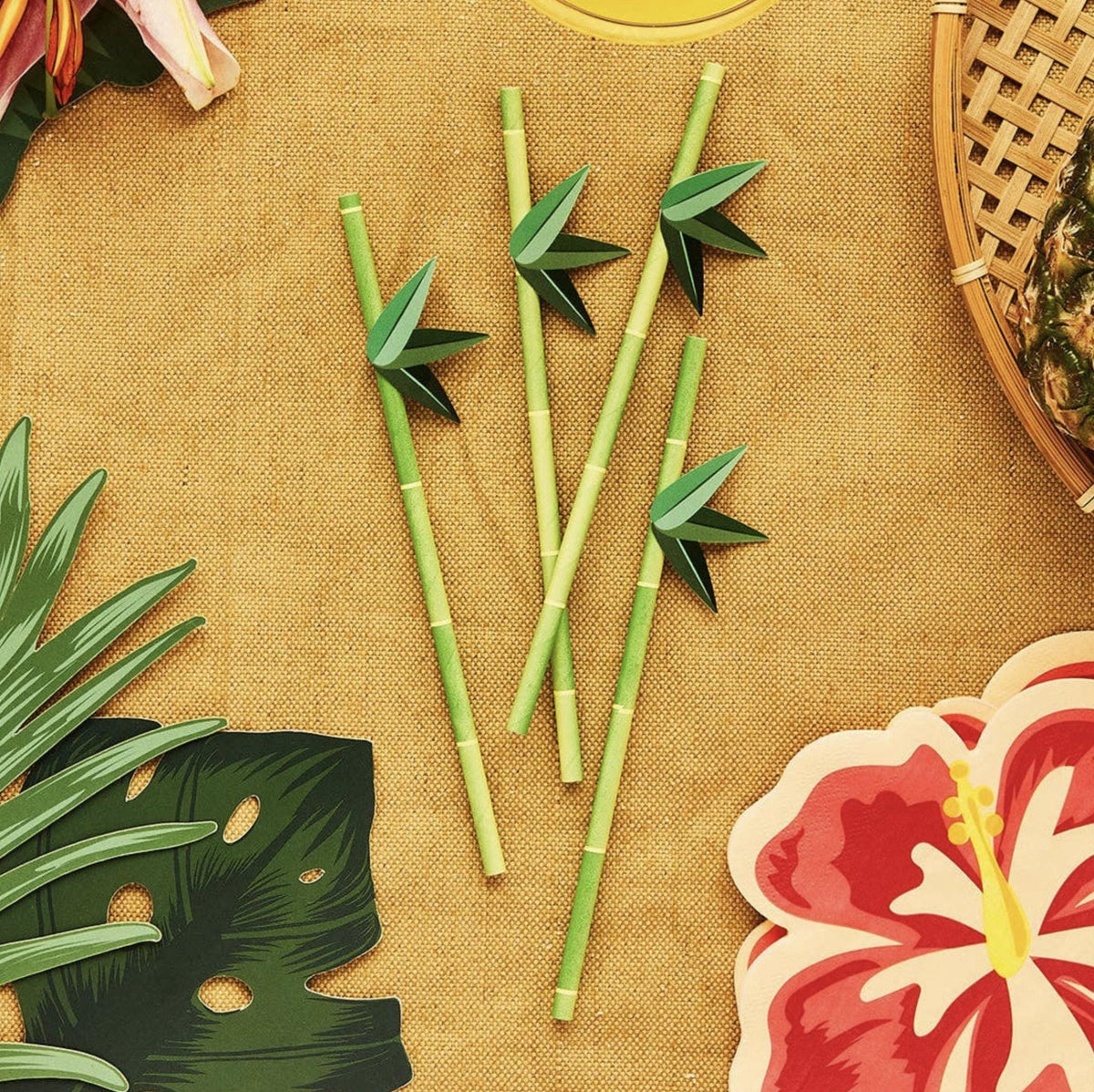Tropical Bamboo Paper Straws 16 Pack - Stesha Party