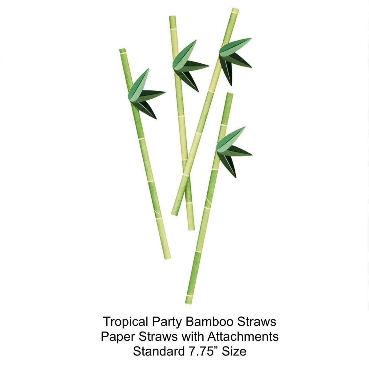 Tropical Bamboo Paper Straws 16 Pack - Stesha Party