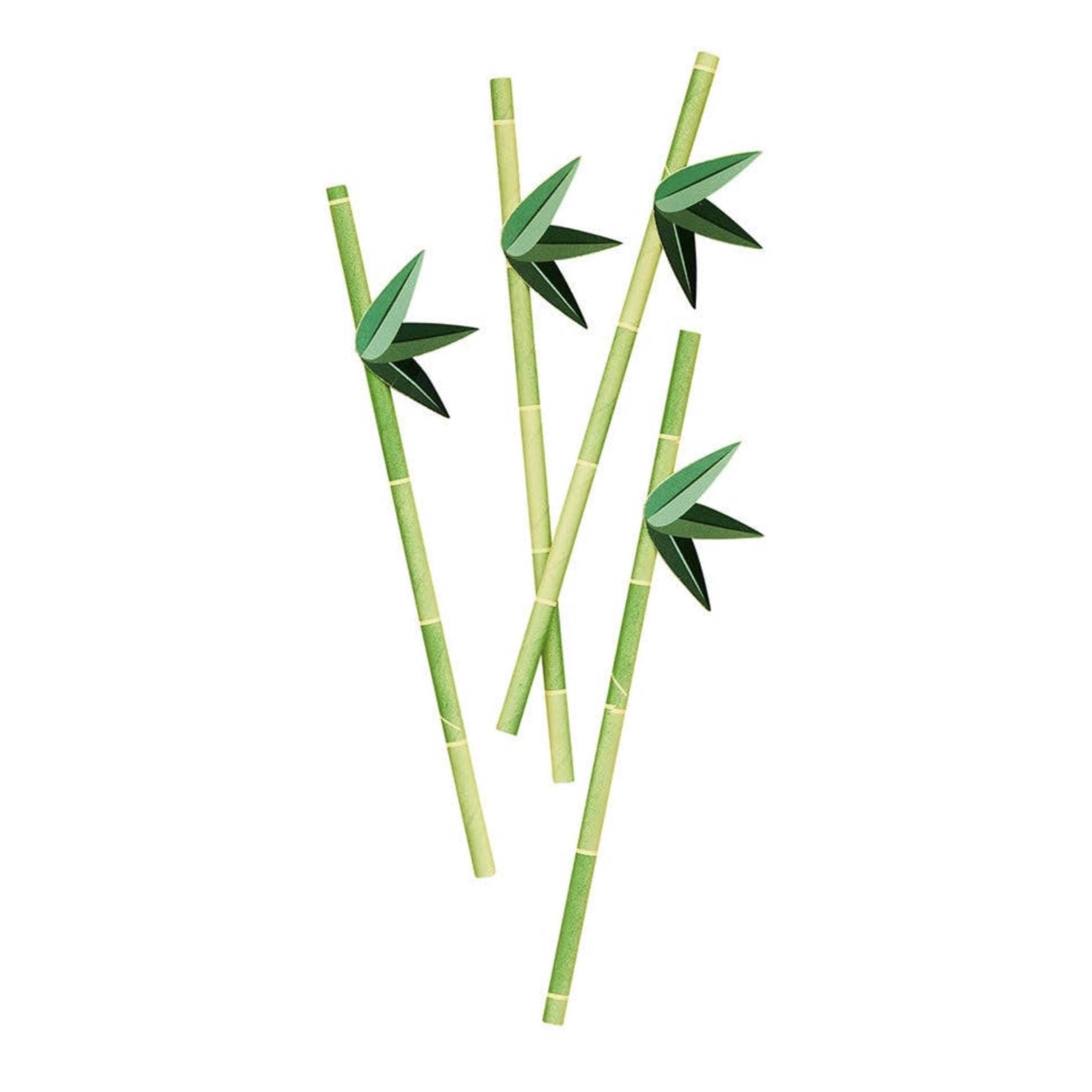 Tropical Bamboo Paper Straws 16 Pack - Stesha Party