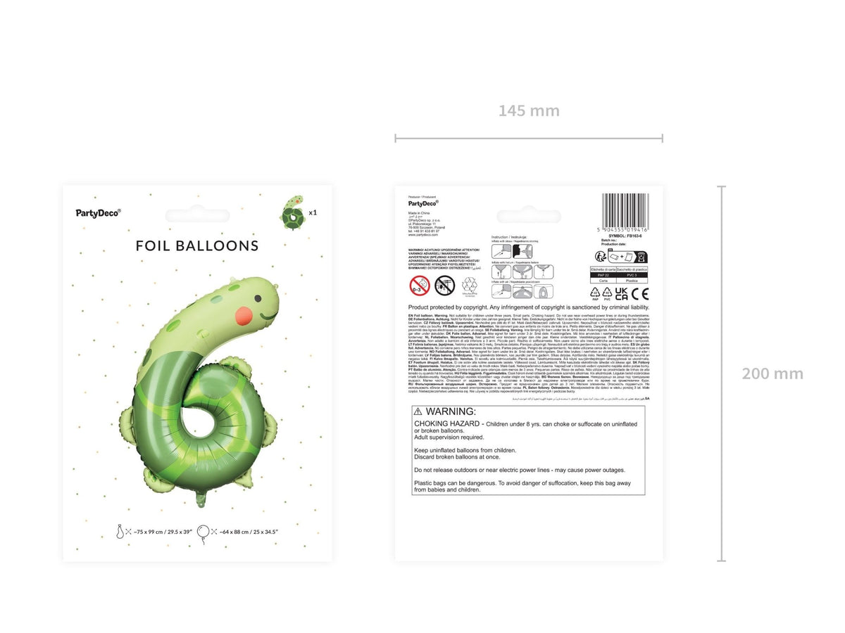 Turtle 6th Birthday Balloon - Stesha Party