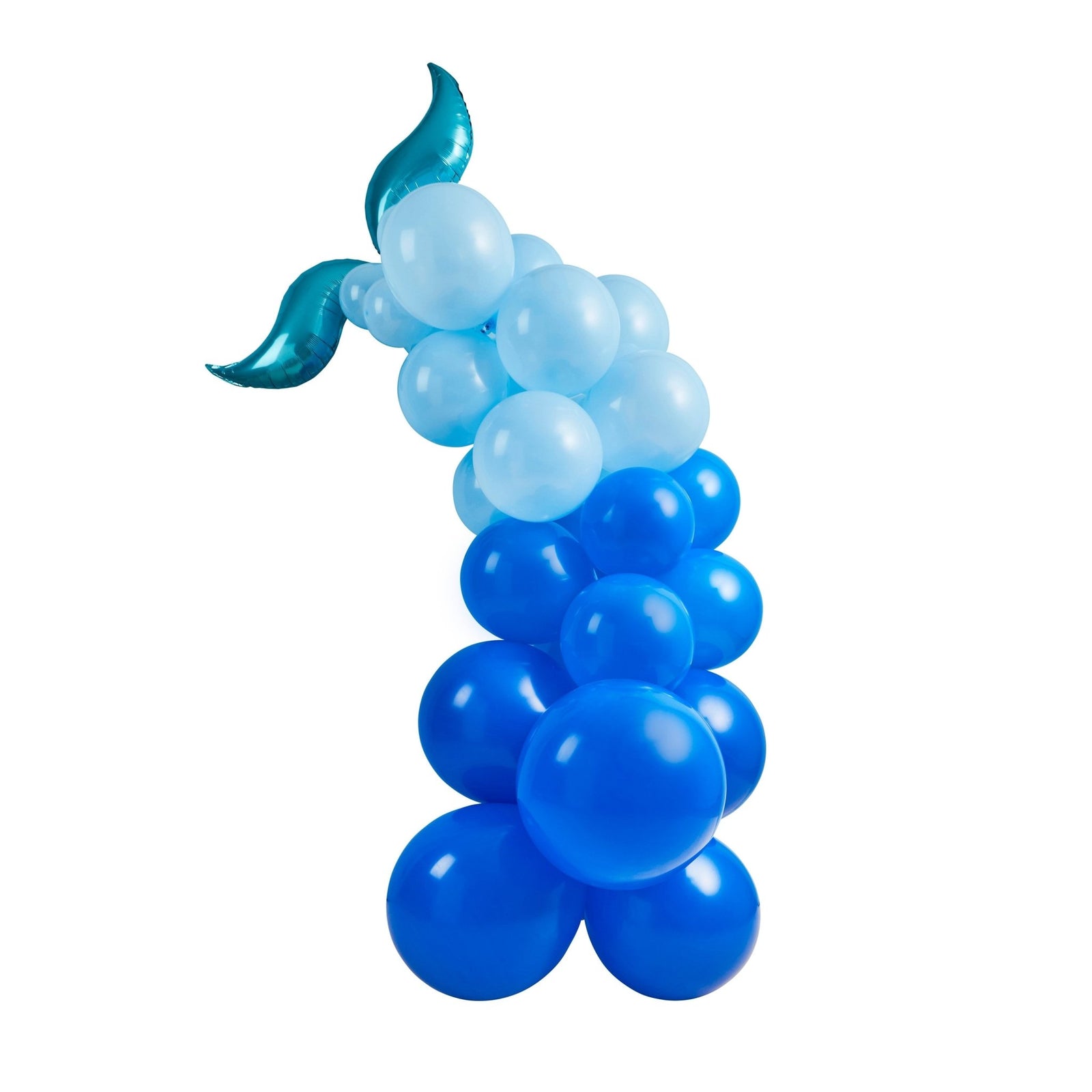 Whale Tail Balloon Arch Kit - Stesha Party