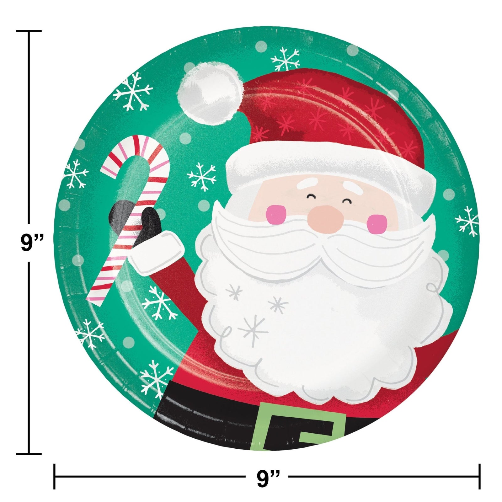 Winter Wonderland Santa Party Supplies Set - Stesha Party