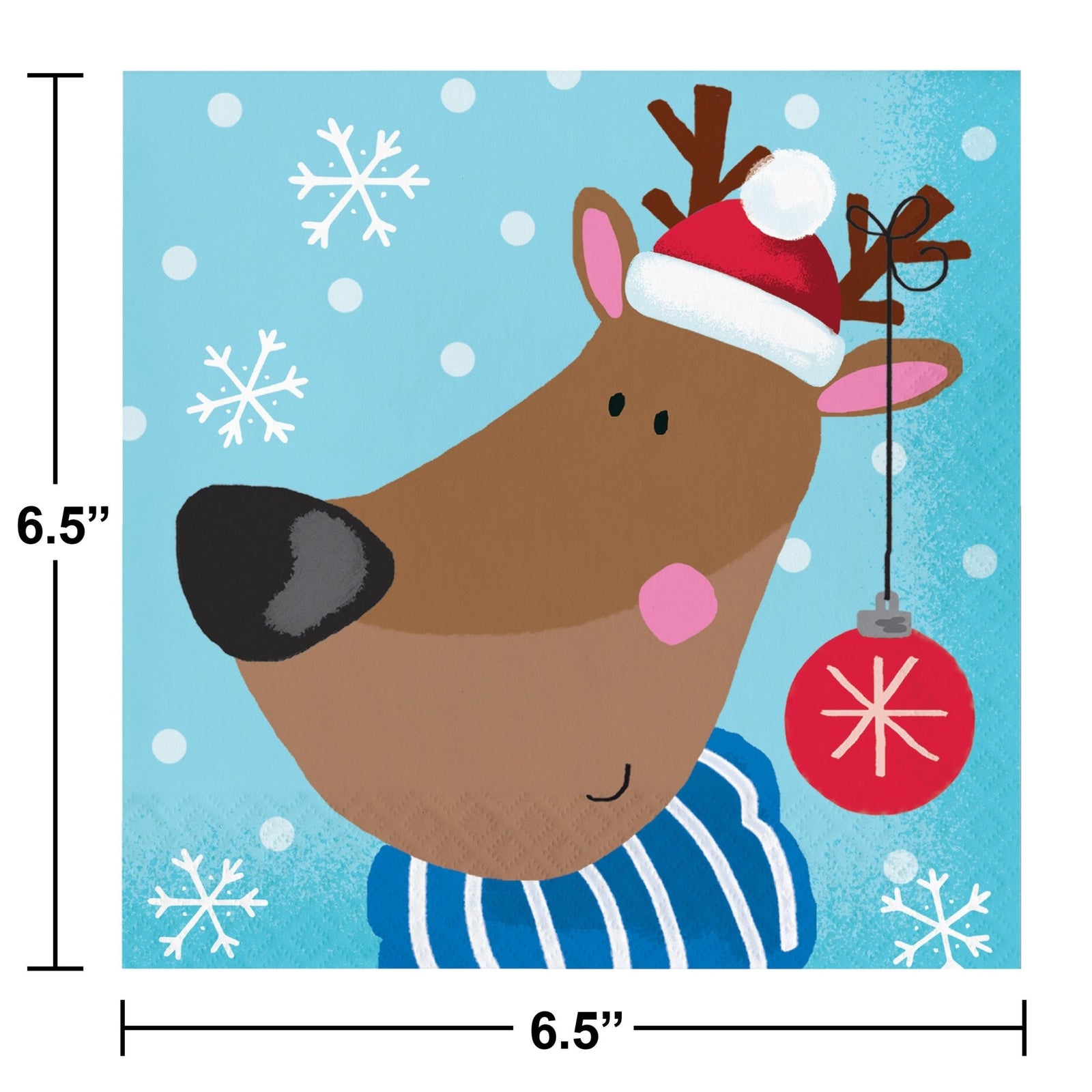 Winter Wonderland Santa Party Supplies Set - Stesha Party