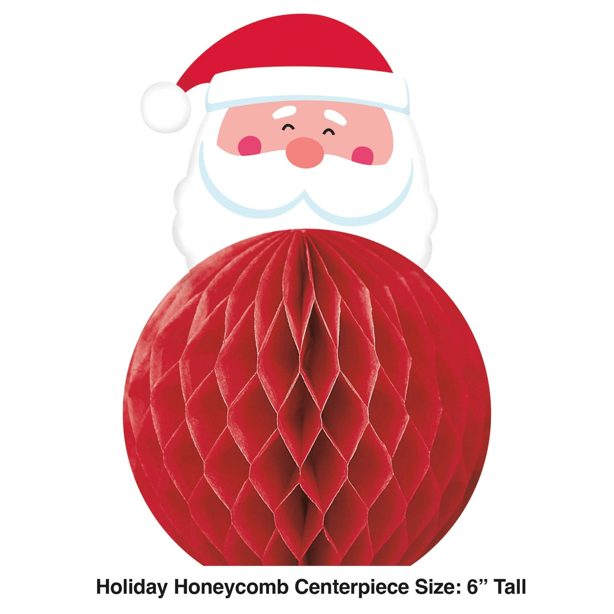 Winter Wonderland Santa Party Supplies Set - Stesha Party