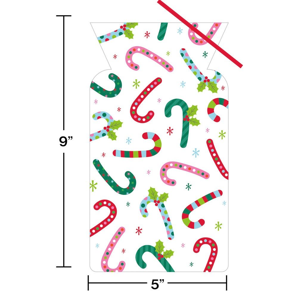 Winter Wonderland Santa Party Supplies Set - Stesha Party