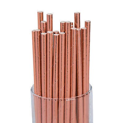 24 Rose Gold Foil Paper Straws
