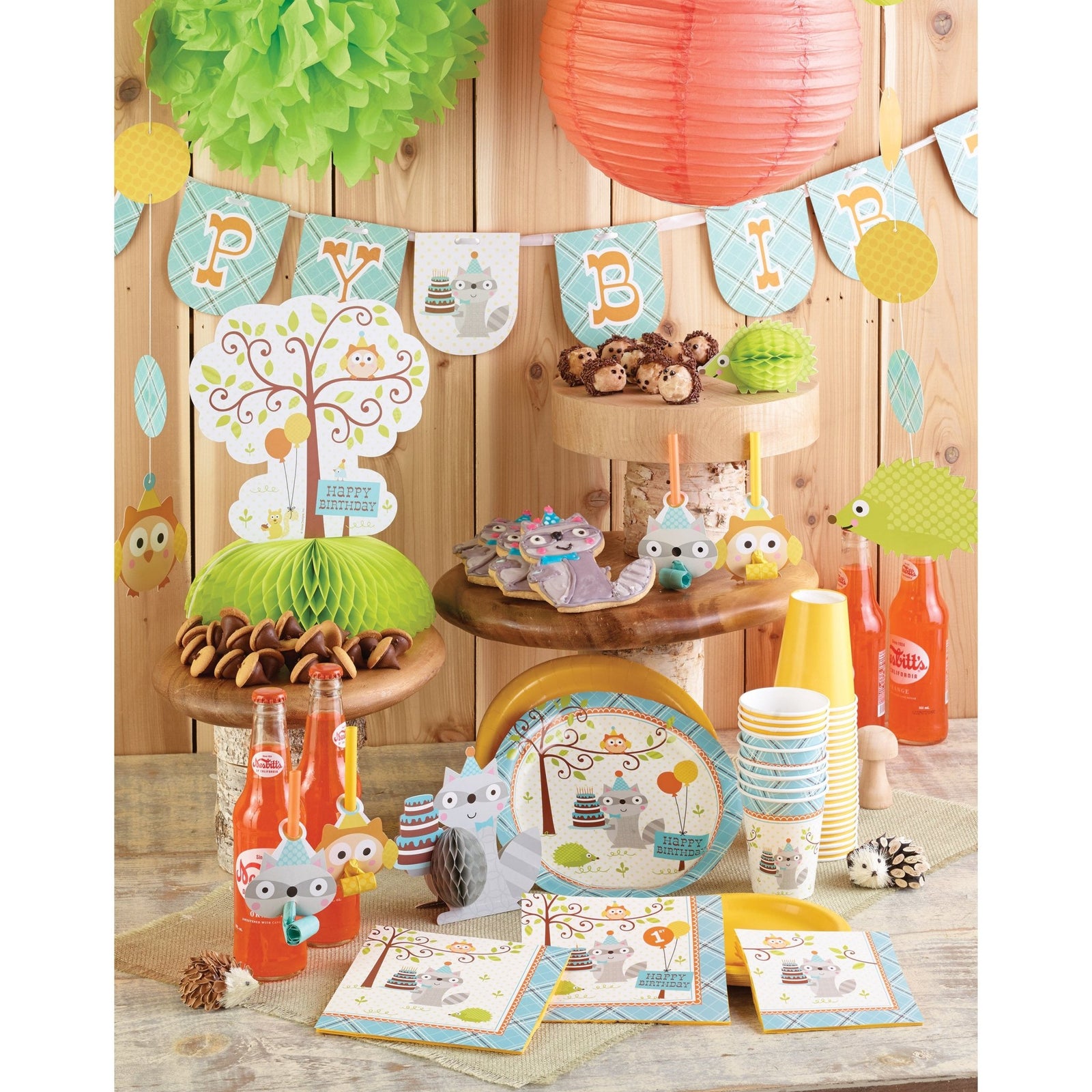 Blue Woodland Raccoon Plates - Stesha Party