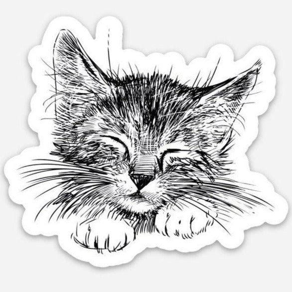 Cat Sticker for Water Bottles - Stesha Party