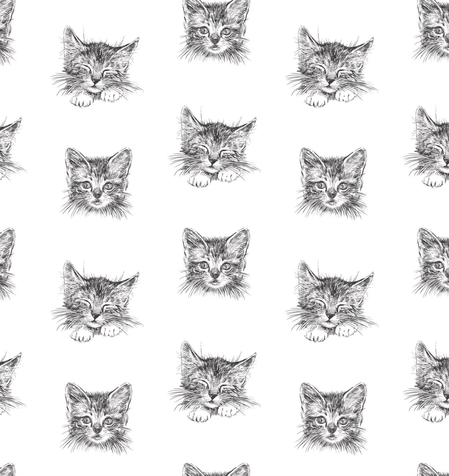Cat Wrapping Paper - Stesha Party