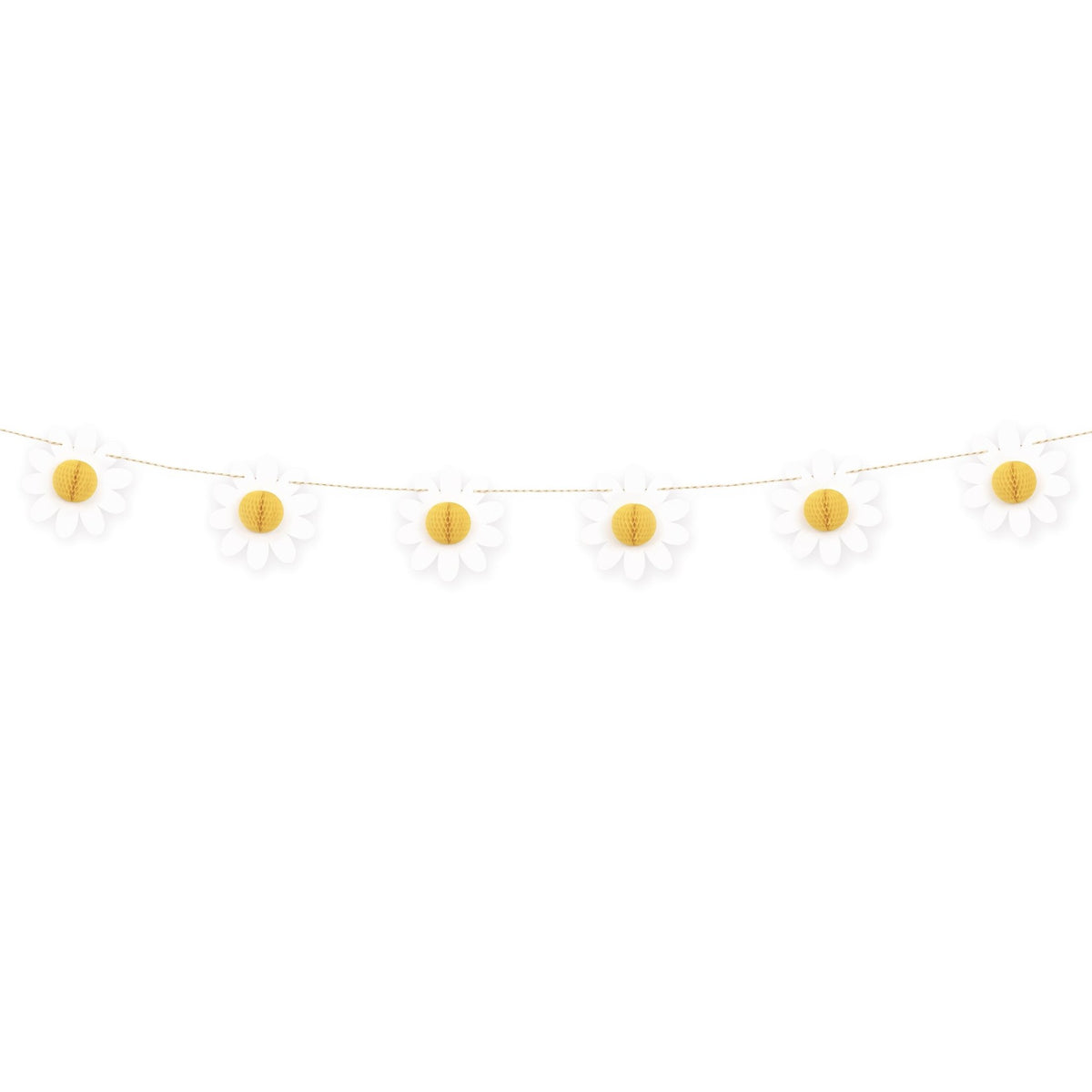 Daisy Party Banner - Stesha Party