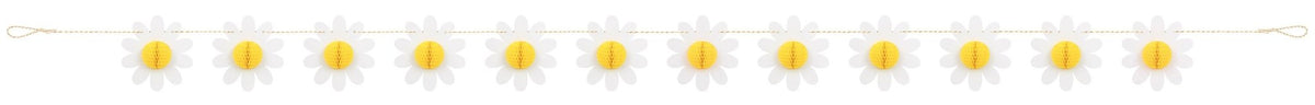 Daisy Party Banner - Stesha Party
