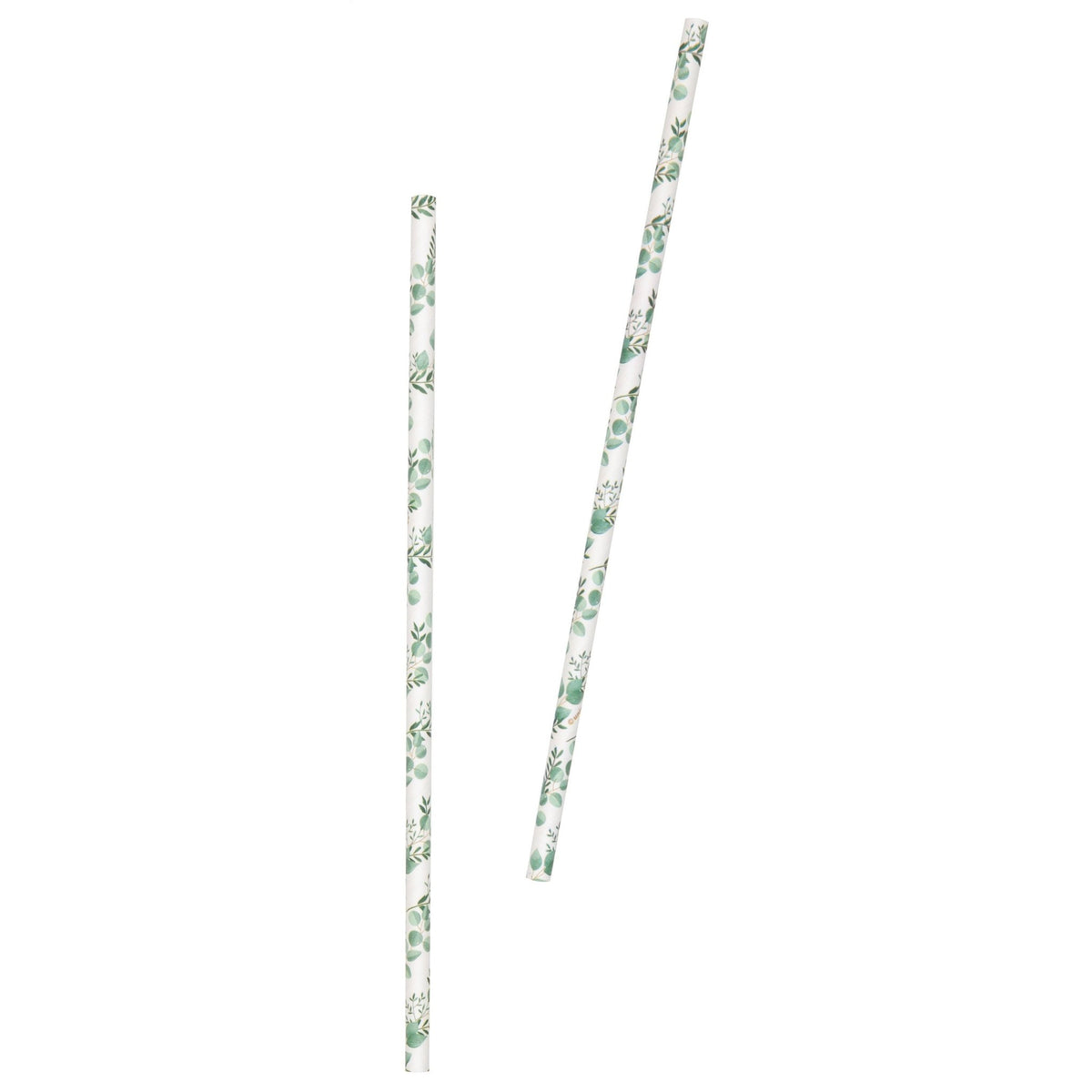 Eucalyptus Party Straws - Stesha Party