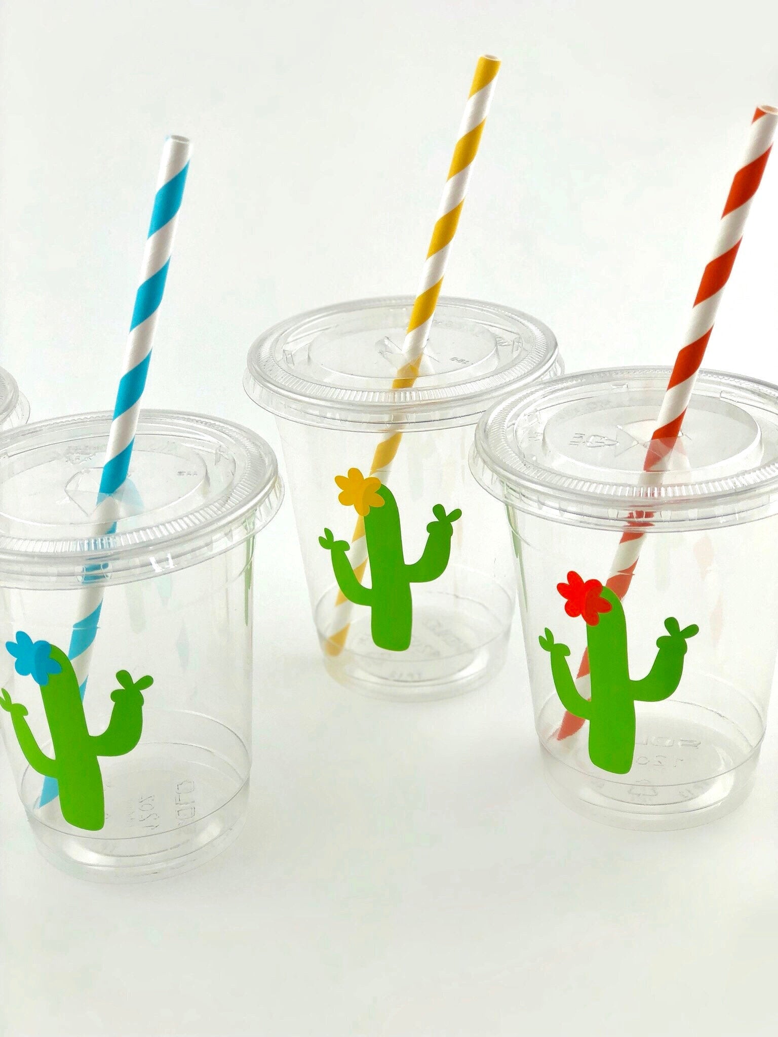 Fiesta Cactus Party Cups with Lids & Straws - Stesha Party - Boy Baby  Shower, cinco de mayo, cup