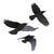 Halloween Raven Wall Decorations 50ct - Stesha Party