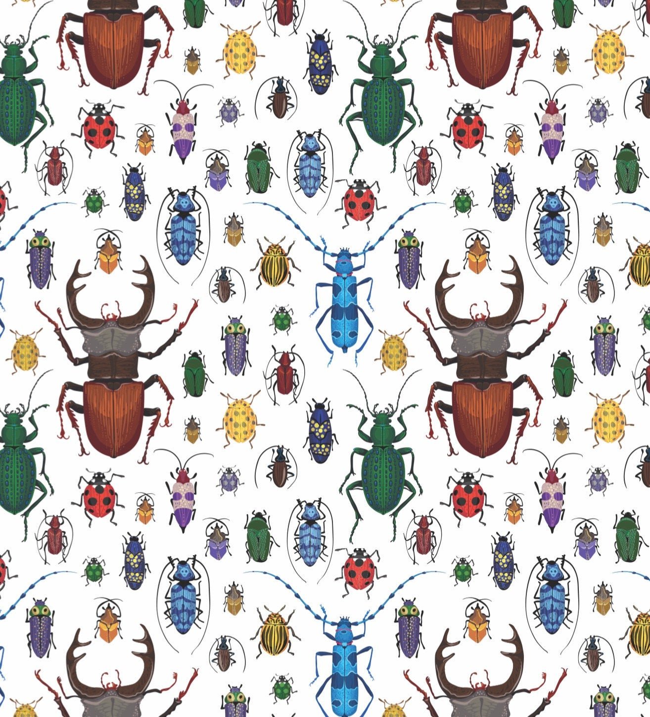Insect Gift Wrap - Stesha Party