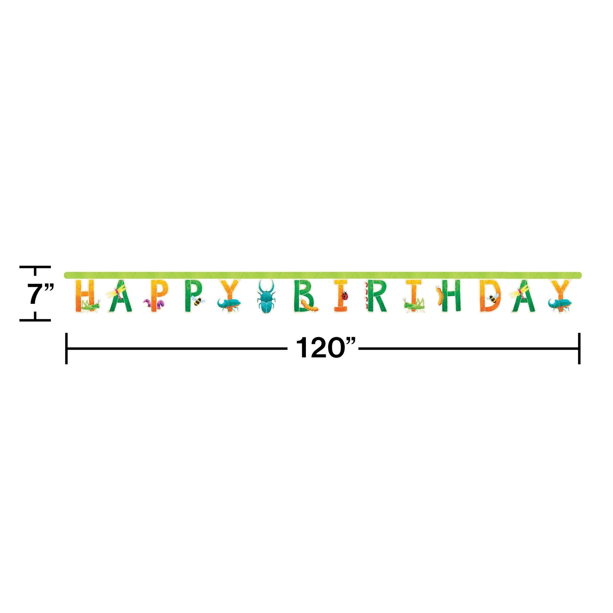 Insect Themed "Happy Birthday" Party Banner - Stesha Party