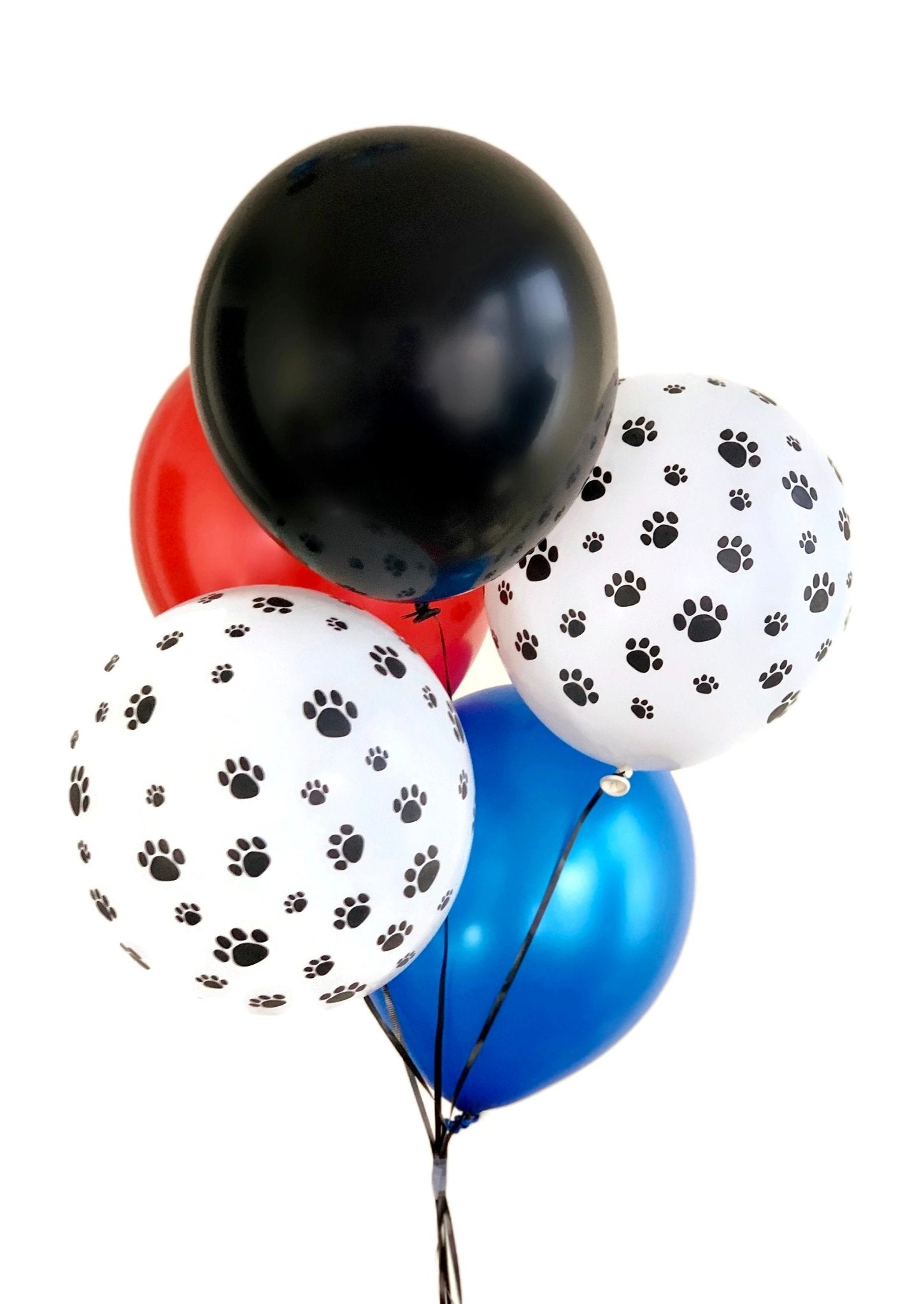Paw Party Balloon Pack - Stesha Party