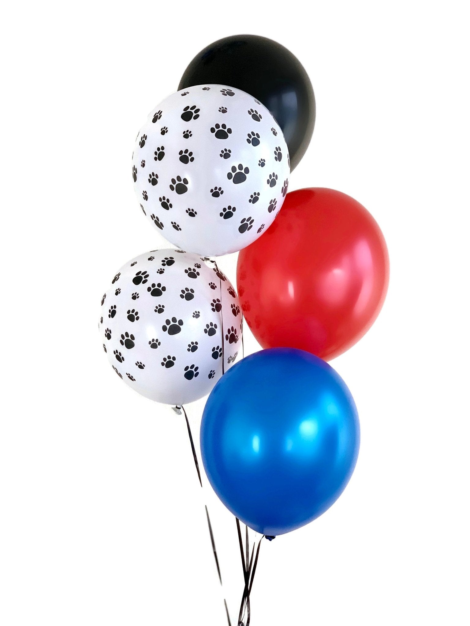 Paw Party Balloon Pack - Stesha Party