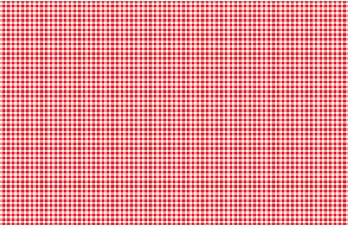 Red Gingham Plastic Tablecloth - Stesha Party