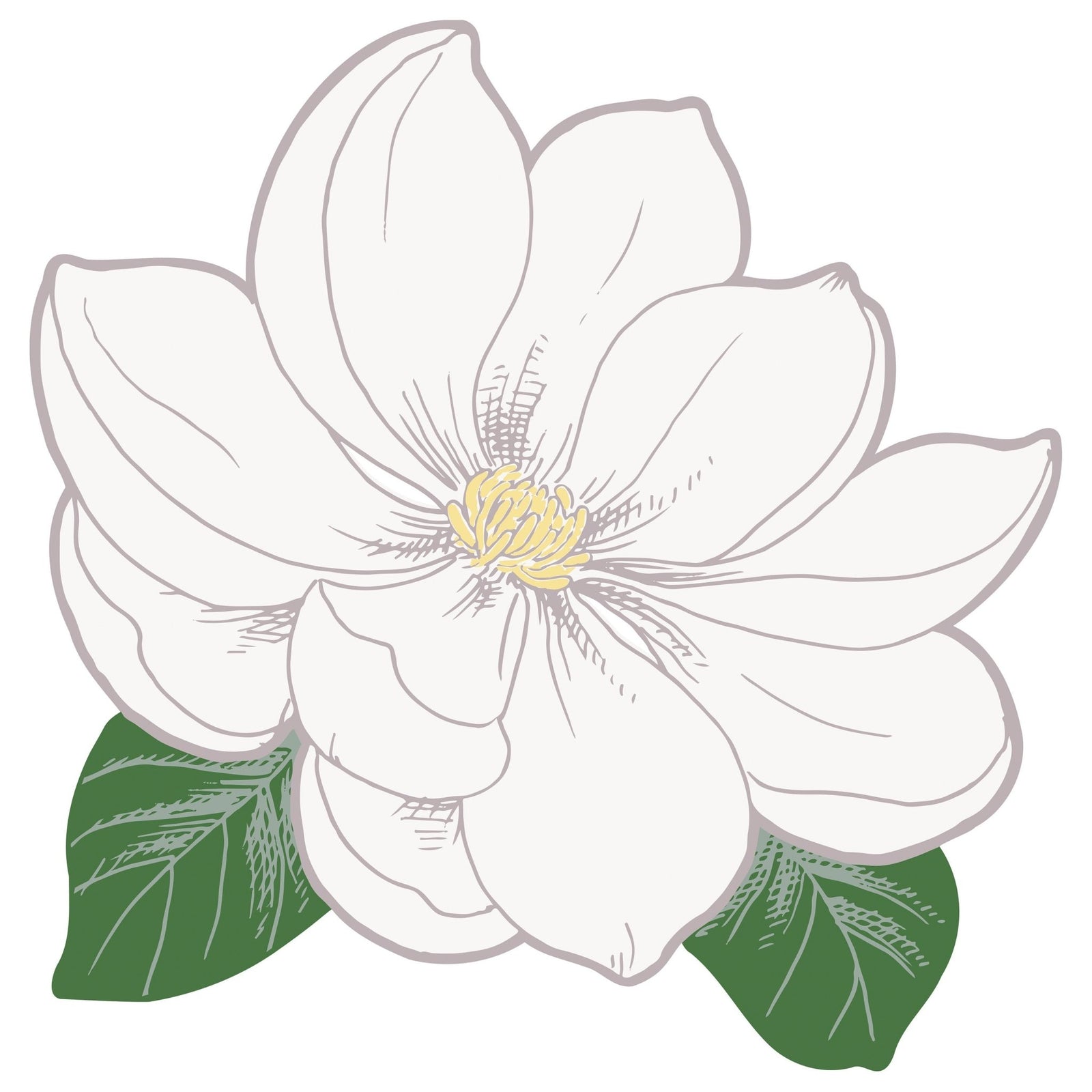 Spring Floral Paper Placemats 8ct - Stesha Party