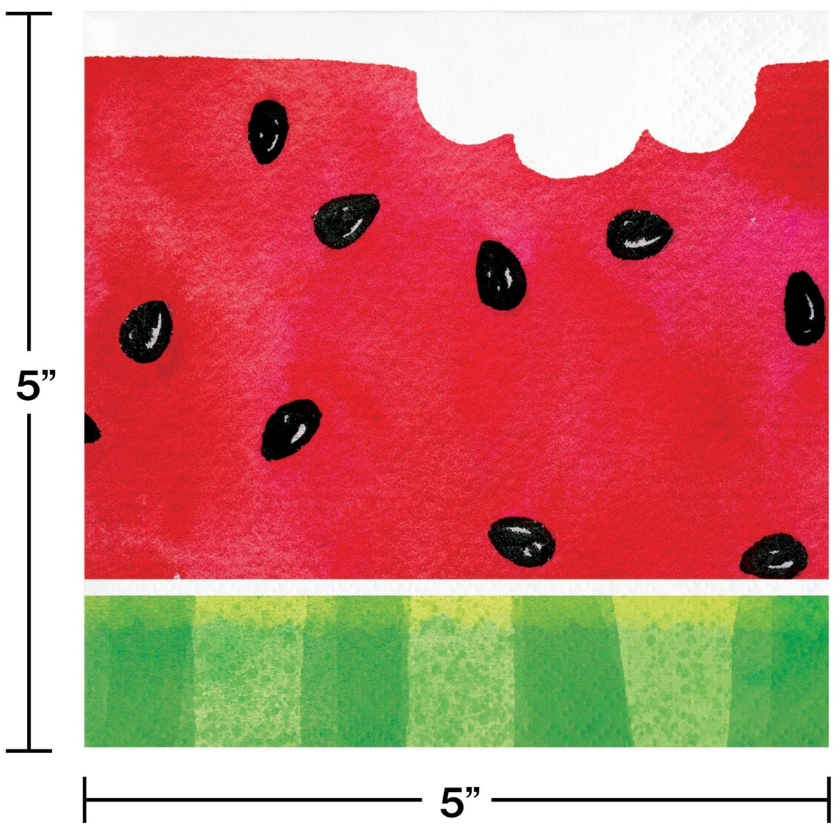 Watermelon Party Pack - Stesha Party